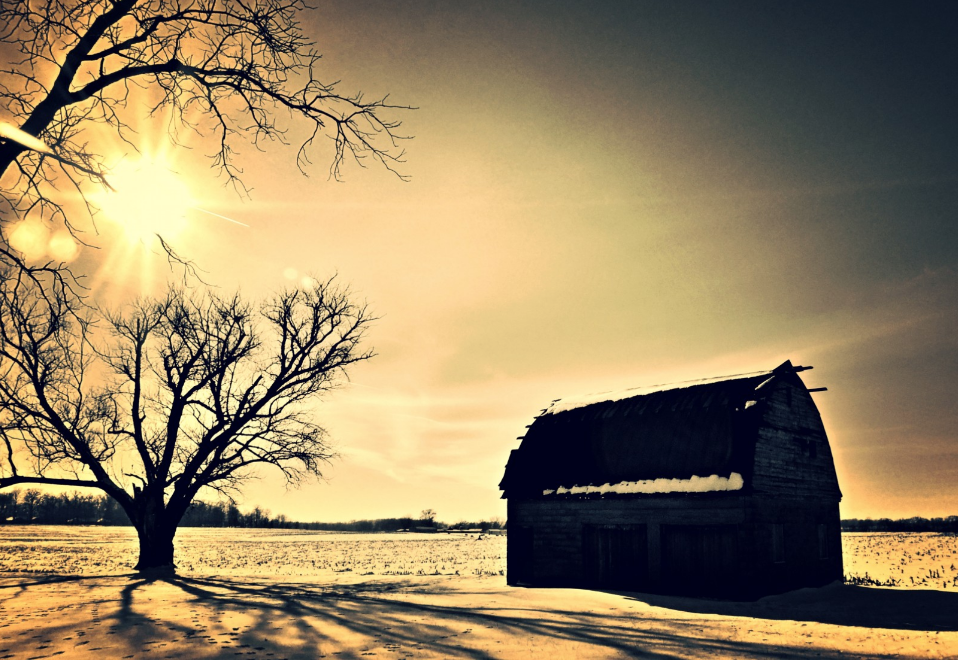 CABANE ARBRE SUN.png (3.96 MB)